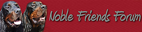 noble fiends forum